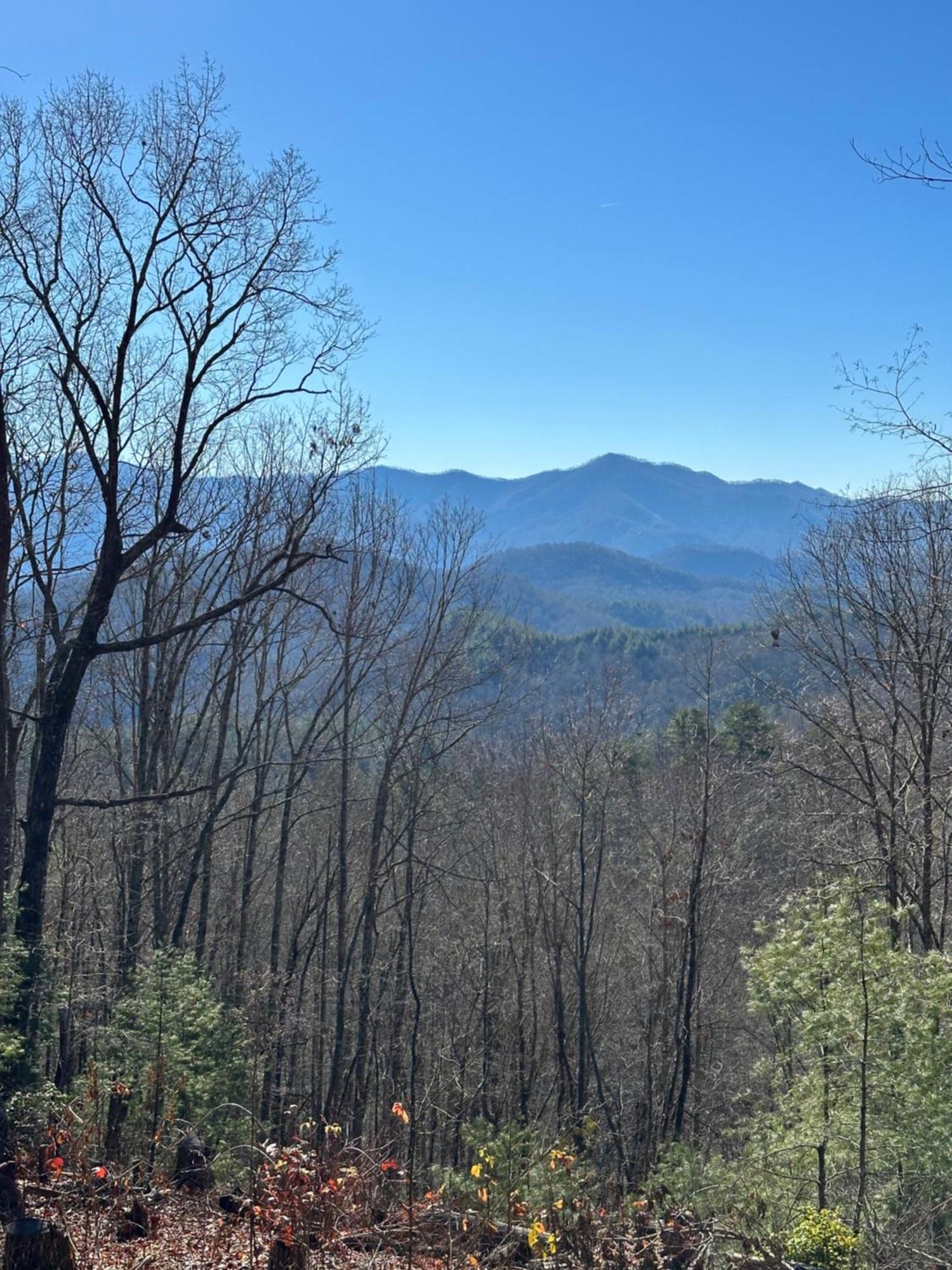 Stunning Views, Superb Atmosphere, Modern Amenities, In The Middle Of Nature Bryson City Luaran gambar